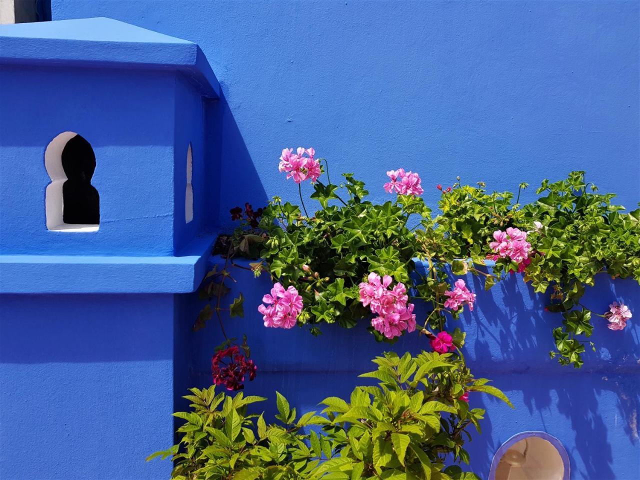 Dar Manara - Medina D'Asilah Hotel Exterior photo